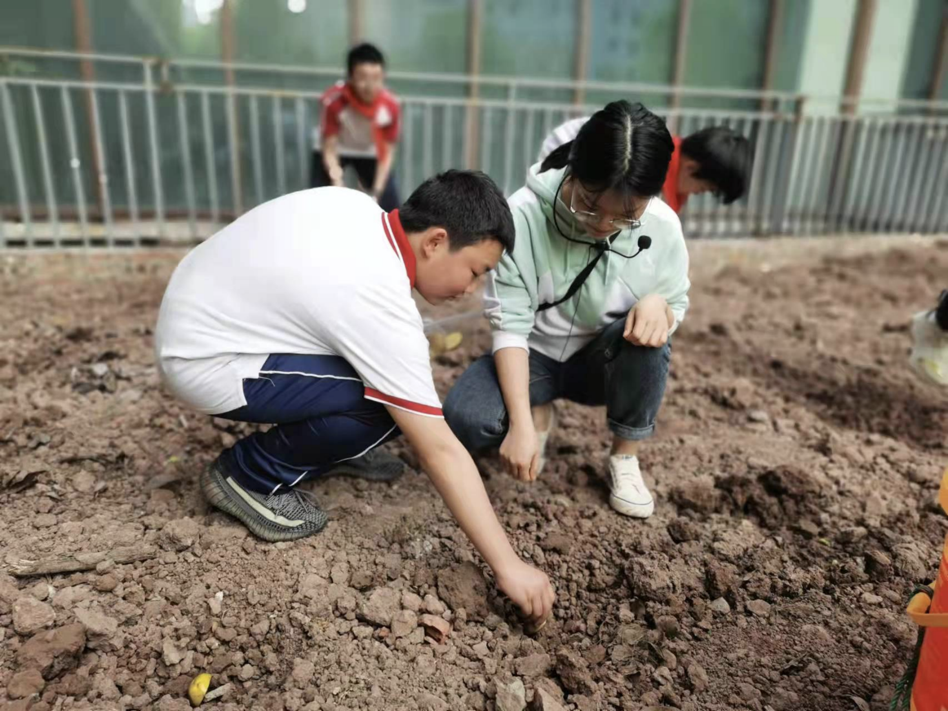 重庆市两江巴蜀中学